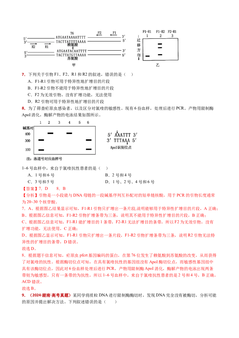 五年（2021-2025）全国高考生物真题分类汇编专题22基因工程（全国通用）（解析版）_高考真题分类汇编_高考生物真题分类汇编（全国通用）五年（2021-2025）