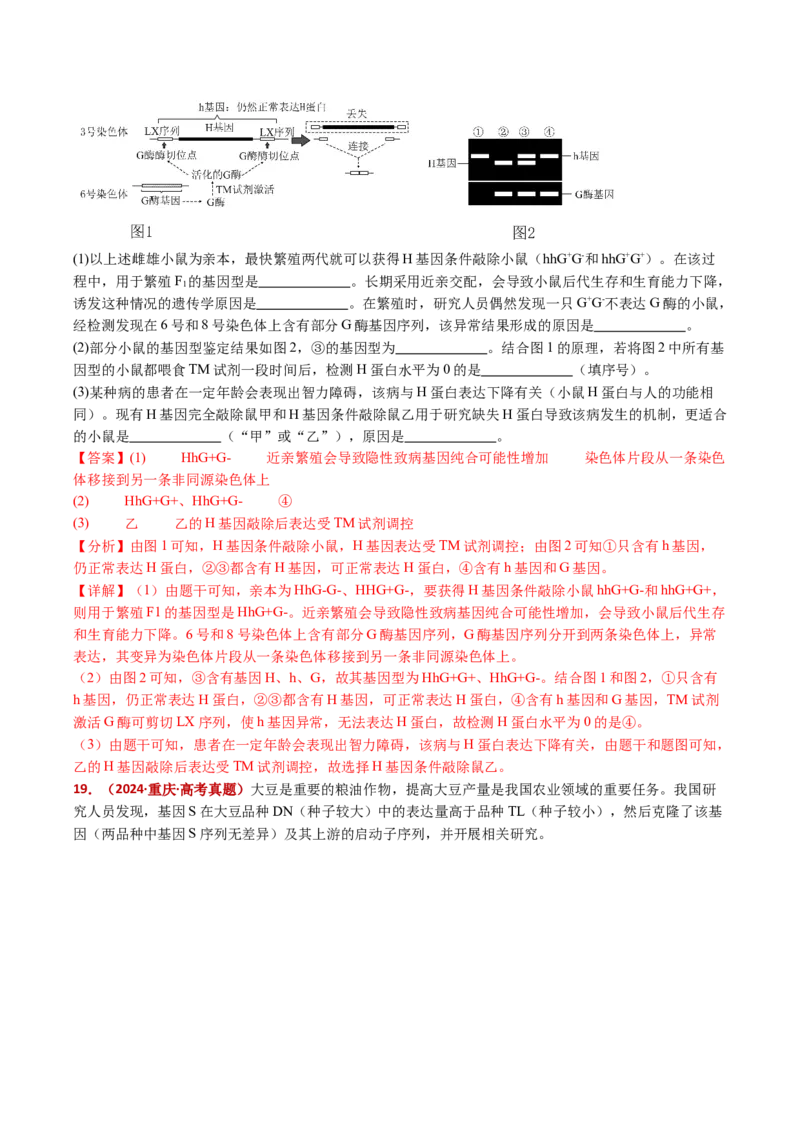 五年（2021-2025）全国高考生物真题分类汇编专题22基因工程（全国通用）（解析版）_高考真题分类汇编_高考生物真题分类汇编（全国通用）五年（2021-2025）