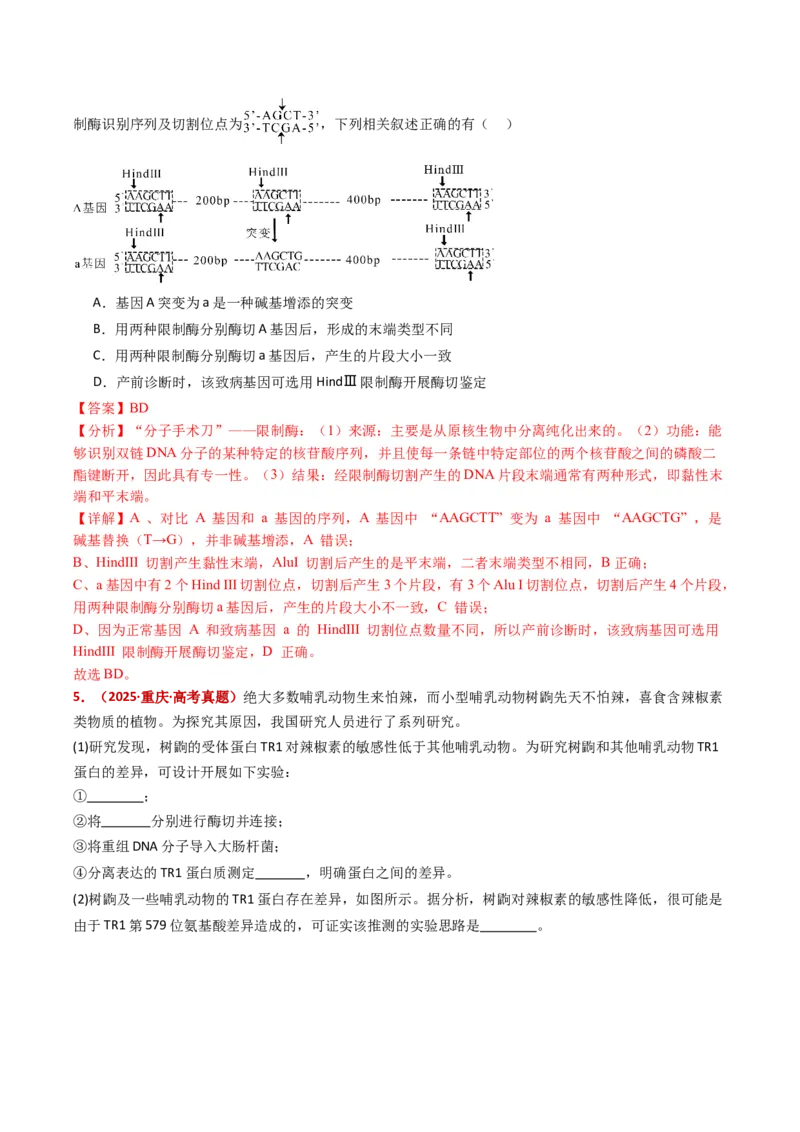 五年（2021-2025）全国高考生物真题分类汇编专题22基因工程（全国通用）（解析版）_高考真题分类汇编_高考生物真题分类汇编（全国通用）五年（2021-2025）