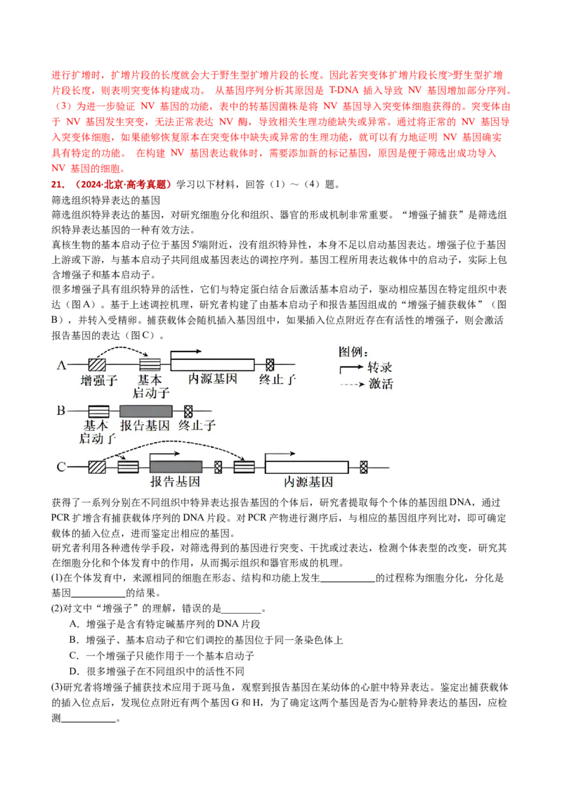 五年（2021-2025）全国高考生物真题分类汇编专题22基因工程（全国通用）（解析版）_高考真题分类汇编_高考生物真题分类汇编（全国通用）五年（2021-2025）