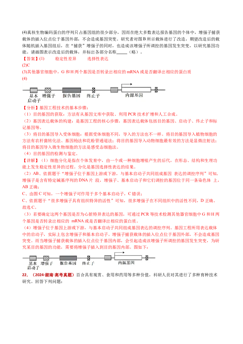 五年（2021-2025）全国高考生物真题分类汇编专题22基因工程（全国通用）（解析版）_高考真题分类汇编_高考生物真题分类汇编（全国通用）五年（2021-2025）