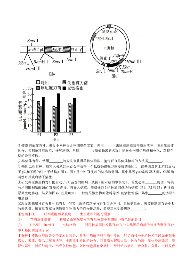 五年（2021-2025）全国高考生物真题分类汇编专题22基因工程（全国通用）（解析版）_高考真题分类汇编_高考生物真题分类汇编（全国通用）五年（2021-2025）