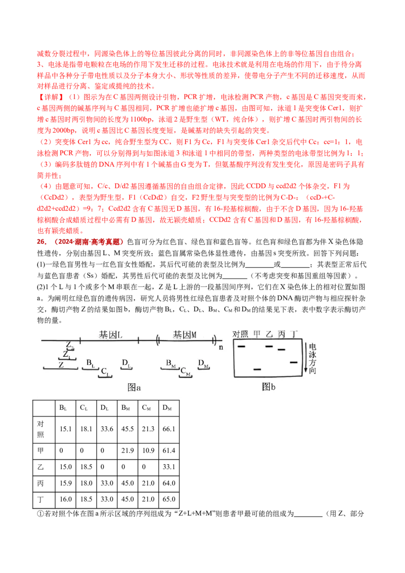 五年（2021-2025）全国高考生物真题分类汇编专题22基因工程（全国通用）（解析版）_高考真题分类汇编_高考生物真题分类汇编（全国通用）五年（2021-2025）