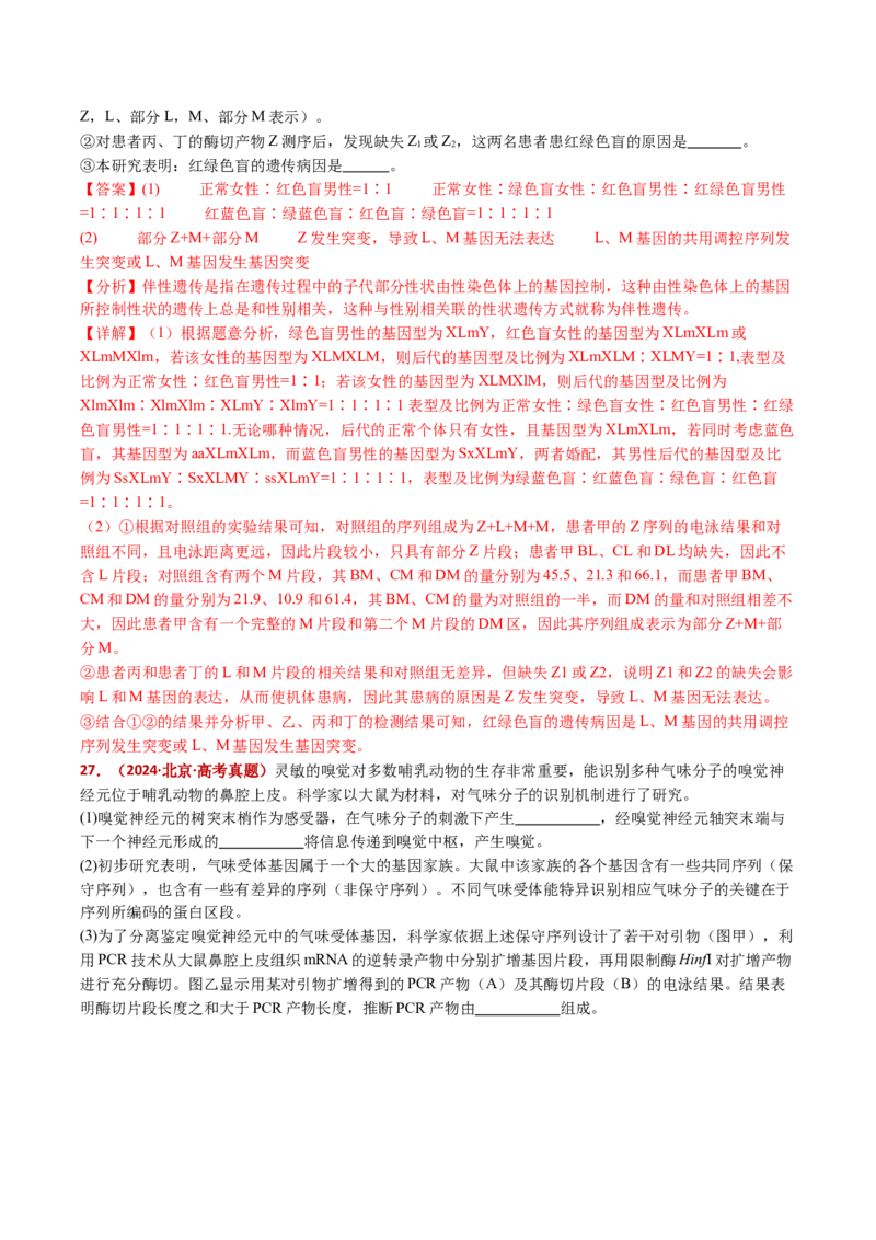 五年（2021-2025）全国高考生物真题分类汇编专题22基因工程（全国通用）（解析版）_高考真题分类汇编_高考生物真题分类汇编（全国通用）五年（2021-2025）