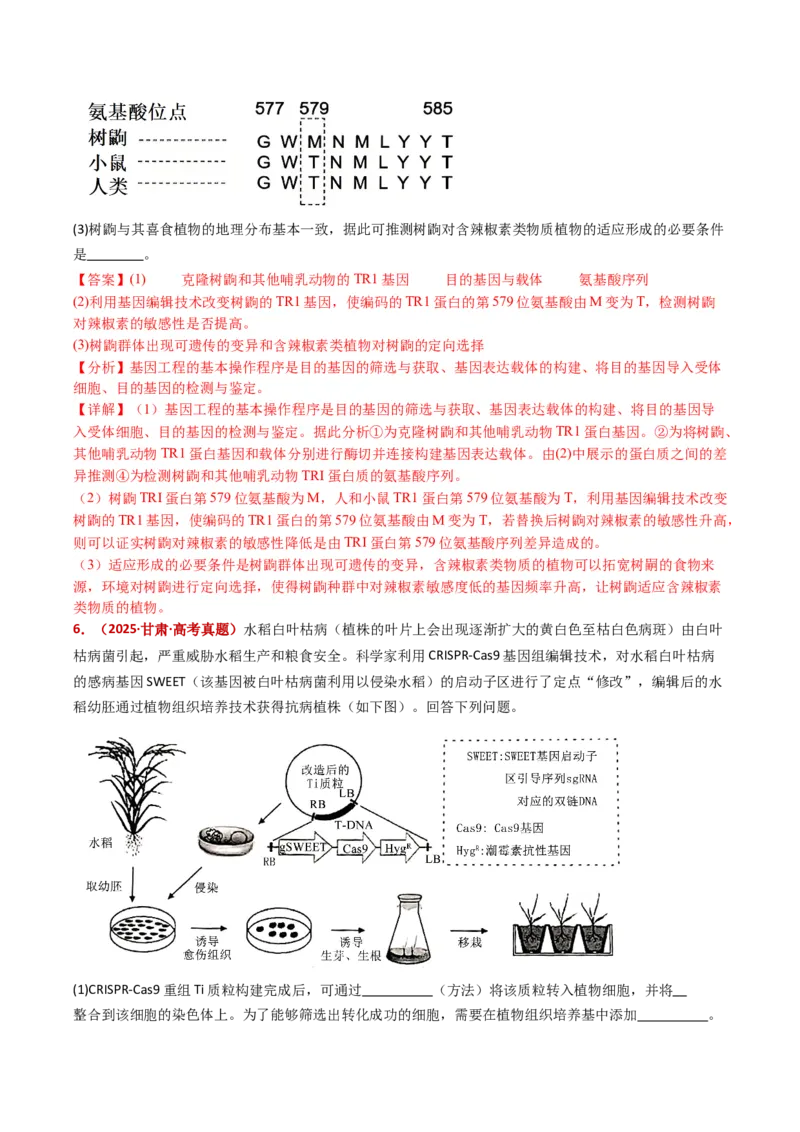 五年（2021-2025）全国高考生物真题分类汇编专题22基因工程（全国通用）（解析版）_高考真题分类汇编_高考生物真题分类汇编（全国通用）五年（2021-2025）
