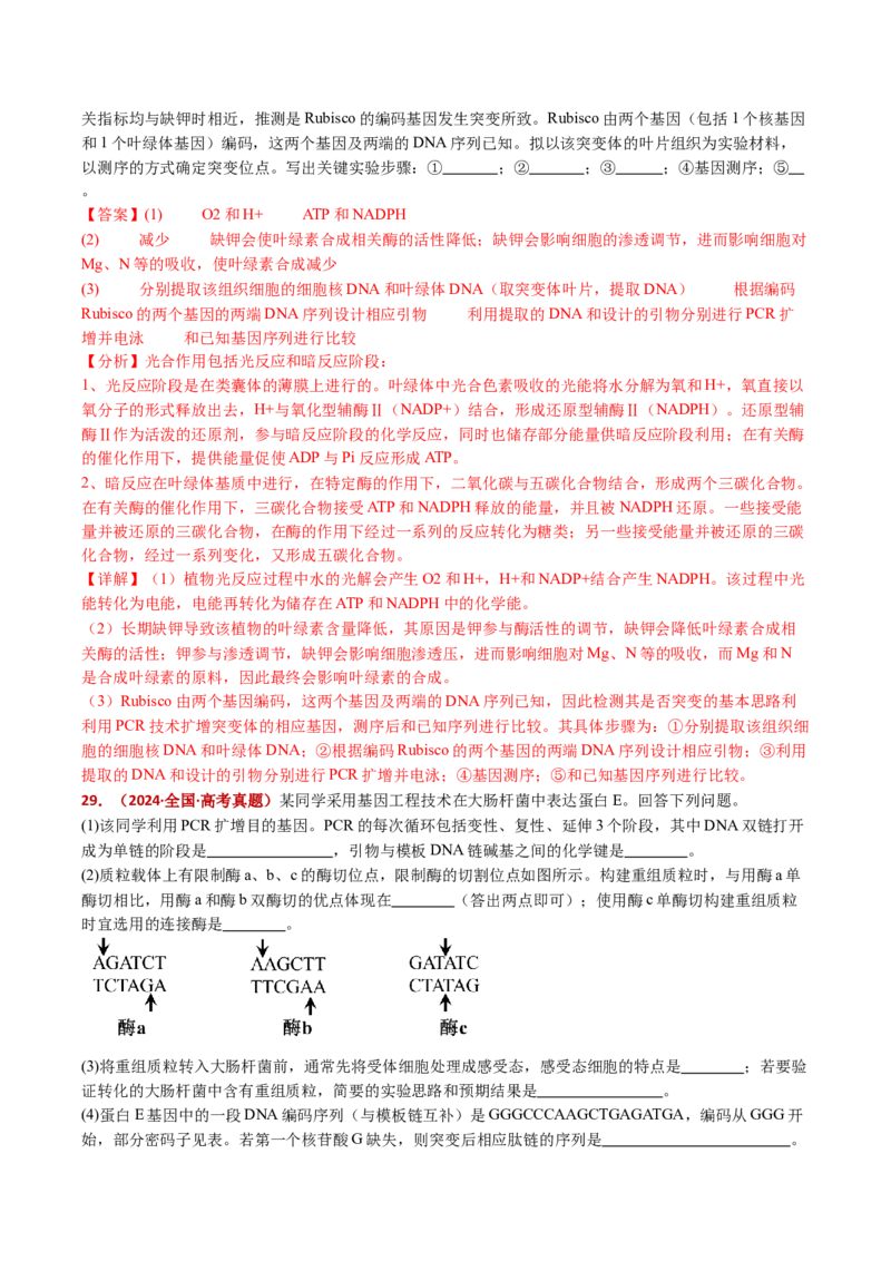 五年（2021-2025）全国高考生物真题分类汇编专题22基因工程（全国通用）（解析版）_高考真题分类汇编_高考生物真题分类汇编（全国通用）五年（2021-2025）