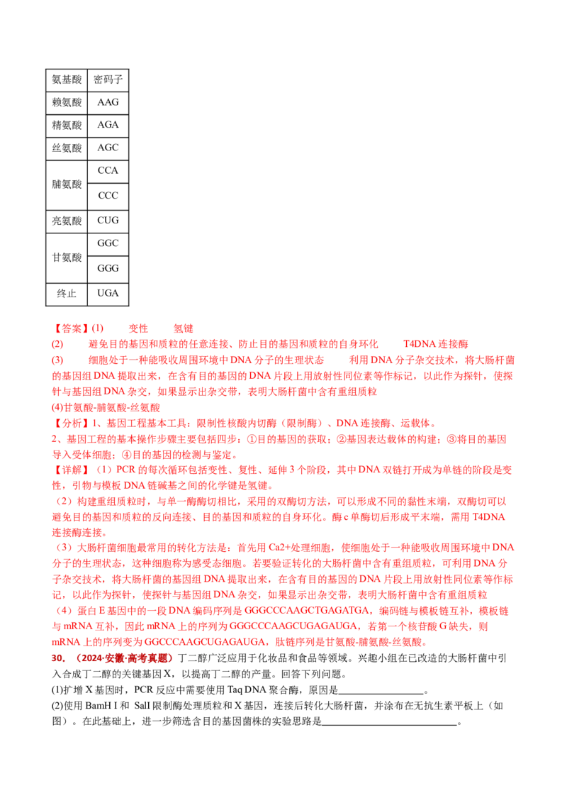 五年（2021-2025）全国高考生物真题分类汇编专题22基因工程（全国通用）（解析版）_高考真题分类汇编_高考生物真题分类汇编（全国通用）五年（2021-2025）