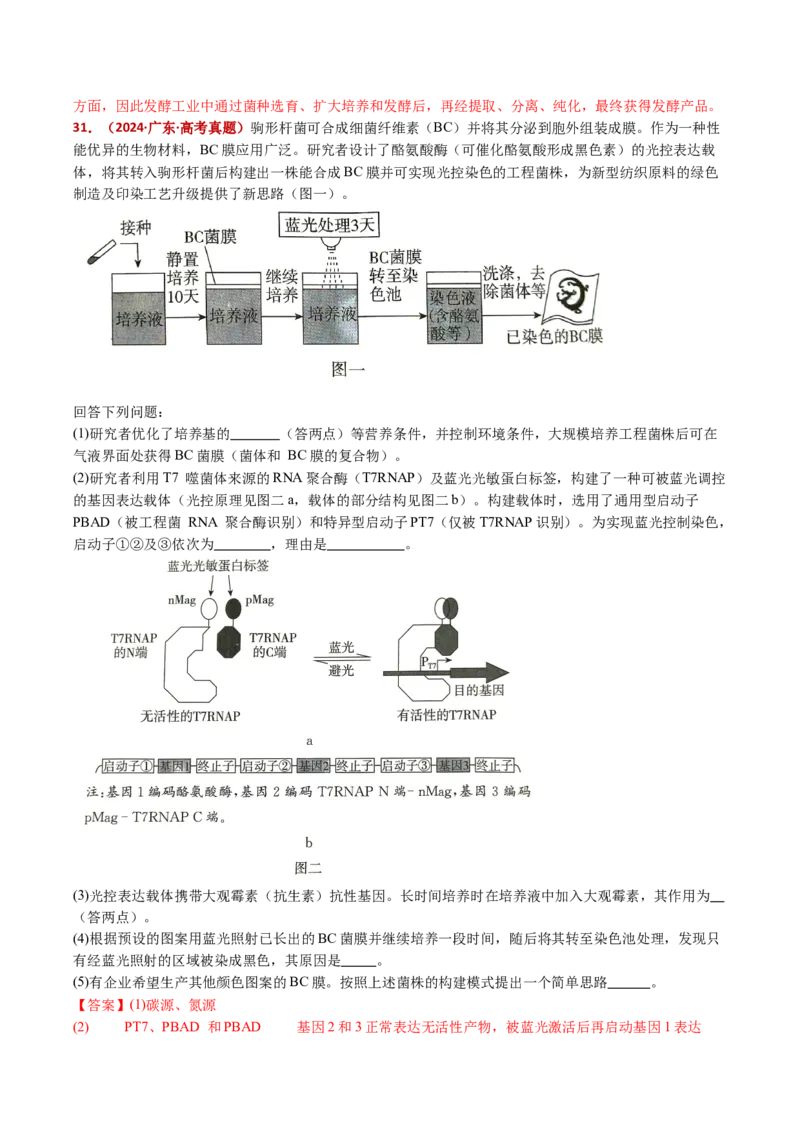 五年（2021-2025）全国高考生物真题分类汇编专题22基因工程（全国通用）（解析版）_高考真题分类汇编_高考生物真题分类汇编（全国通用）五年（2021-2025）