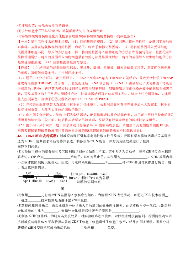 五年（2021-2025）全国高考生物真题分类汇编专题22基因工程（全国通用）（解析版）_高考真题分类汇编_高考生物真题分类汇编（全国通用）五年（2021-2025）
