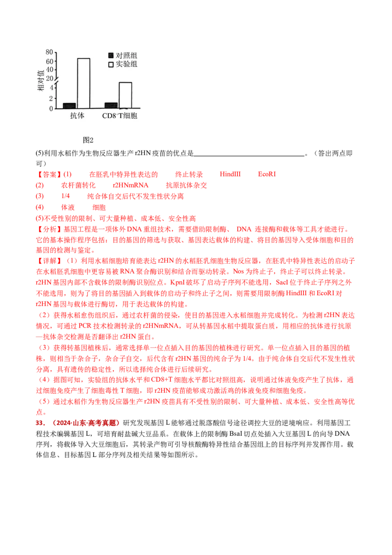 五年（2021-2025）全国高考生物真题分类汇编专题22基因工程（全国通用）（解析版）_高考真题分类汇编_高考生物真题分类汇编（全国通用）五年（2021-2025）