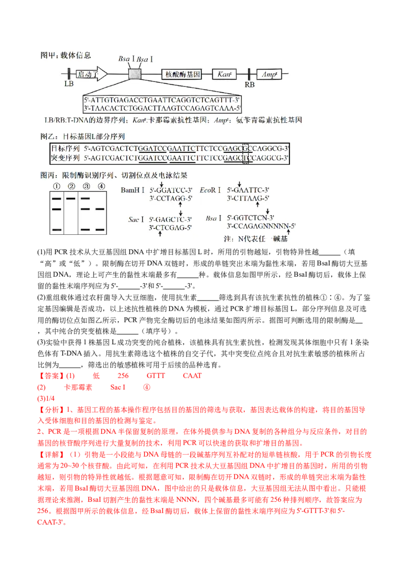 五年（2021-2025）全国高考生物真题分类汇编专题22基因工程（全国通用）（解析版）_高考真题分类汇编_高考生物真题分类汇编（全国通用）五年（2021-2025）