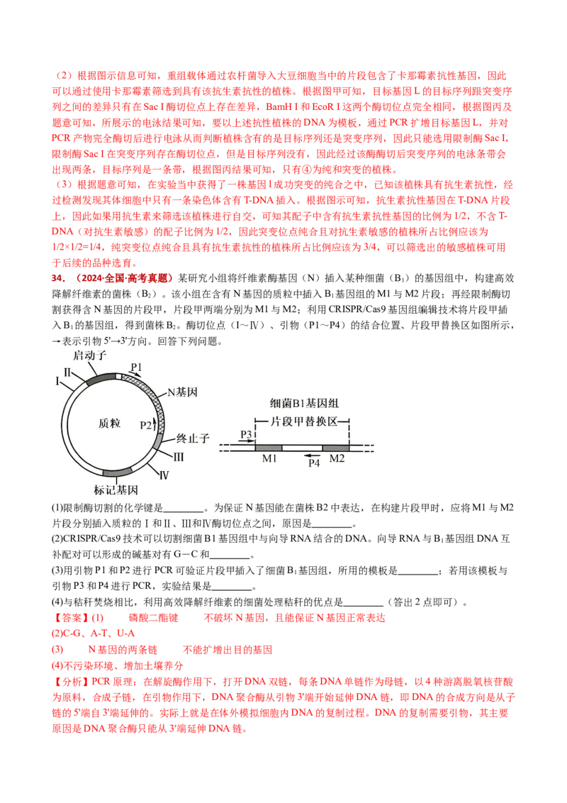 五年（2021-2025）全国高考生物真题分类汇编专题22基因工程（全国通用）（解析版）_高考真题分类汇编_高考生物真题分类汇编（全国通用）五年（2021-2025）