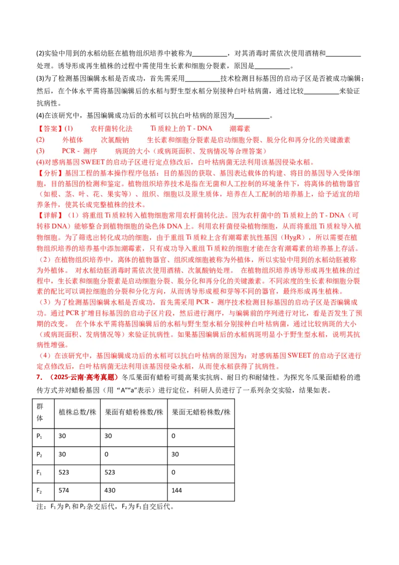 五年（2021-2025）全国高考生物真题分类汇编专题22基因工程（全国通用）（解析版）_高考真题分类汇编_高考生物真题分类汇编（全国通用）五年（2021-2025）