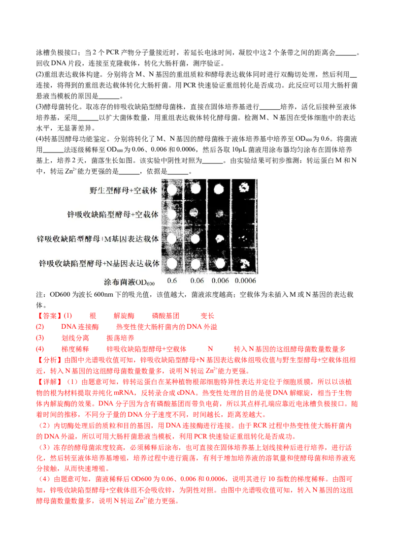 五年（2021-2025）全国高考生物真题分类汇编专题22基因工程（全国通用）（解析版）_高考真题分类汇编_高考生物真题分类汇编（全国通用）五年（2021-2025）