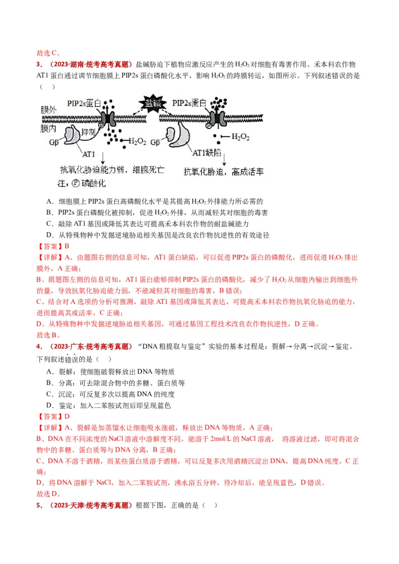 五年（2021-2025）全国高考生物真题分类汇编专题22基因工程（全国通用）（解析版）_高考真题分类汇编_高考生物真题分类汇编（全国通用）五年（2021-2025）