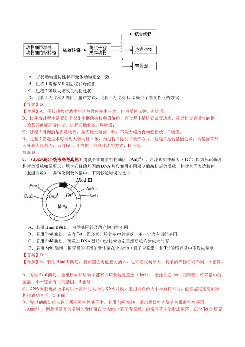 五年（2021-2025）全国高考生物真题分类汇编专题22基因工程（全国通用）（解析版）_高考真题分类汇编_高考生物真题分类汇编（全国通用）五年（2021-2025）