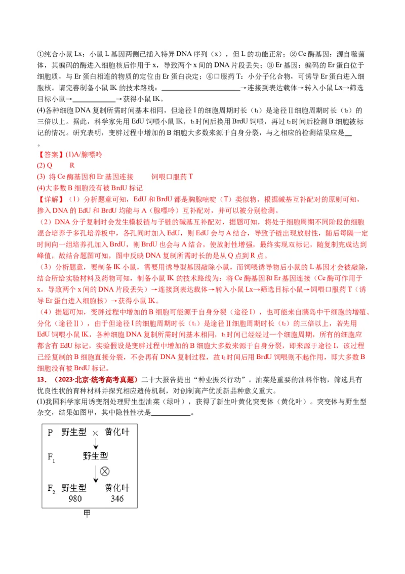 五年（2021-2025）全国高考生物真题分类汇编专题22基因工程（全国通用）（解析版）_高考真题分类汇编_高考生物真题分类汇编（全国通用）五年（2021-2025）