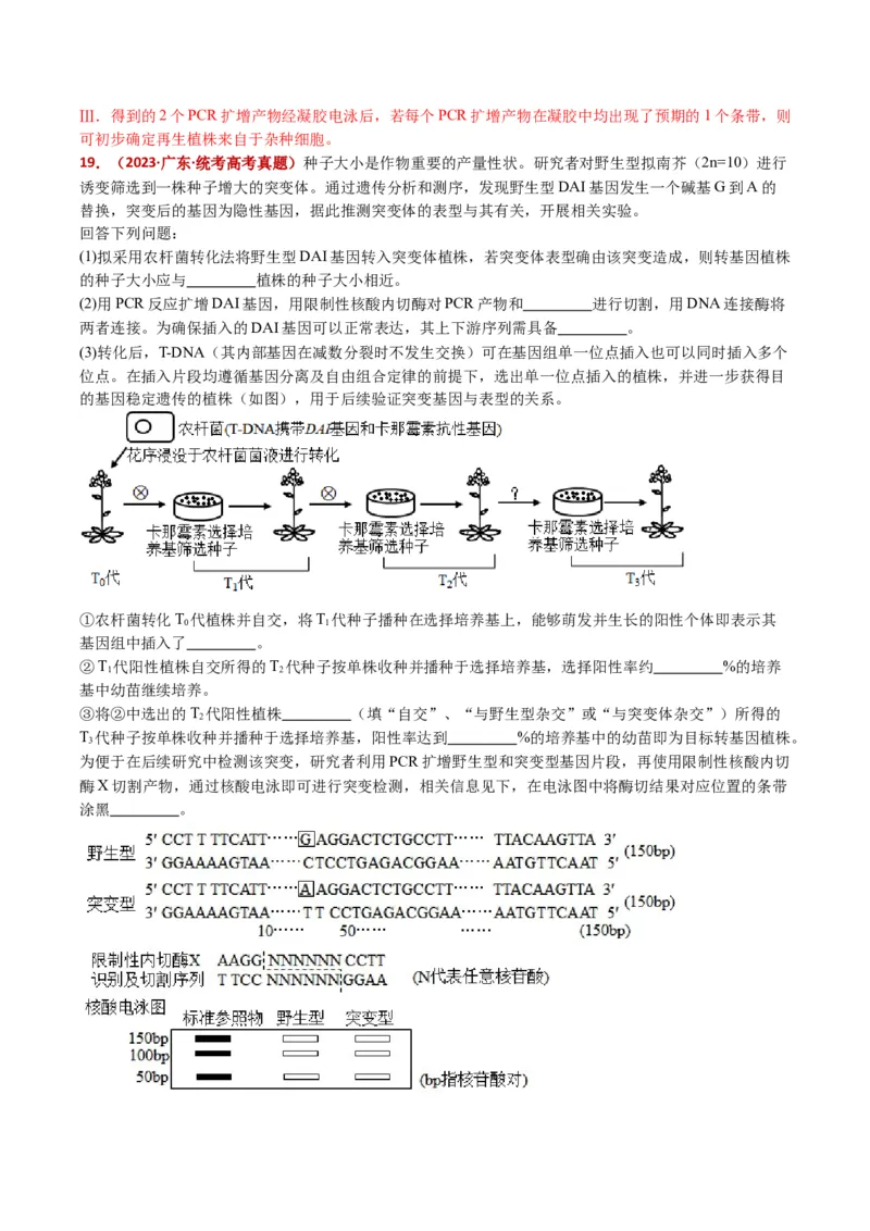 五年（2021-2025）全国高考生物真题分类汇编专题22基因工程（全国通用）（解析版）_高考真题分类汇编_高考生物真题分类汇编（全国通用）五年（2021-2025）