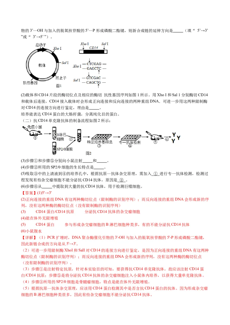 五年（2021-2025）全国高考生物真题分类汇编专题22基因工程（全国通用）（解析版）_高考真题分类汇编_高考生物真题分类汇编（全国通用）五年（2021-2025）