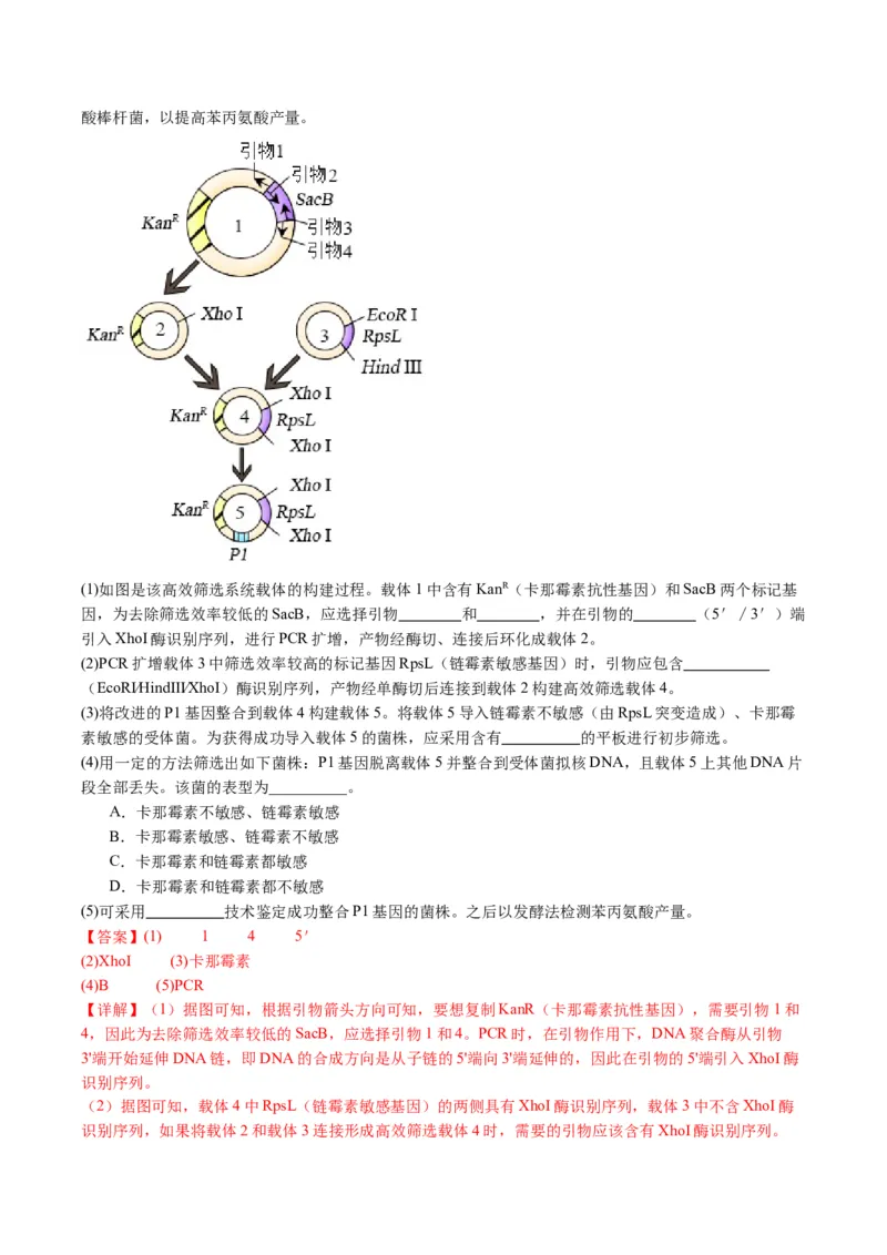 五年（2021-2025）全国高考生物真题分类汇编专题22基因工程（全国通用）（解析版）_高考真题分类汇编_高考生物真题分类汇编（全国通用）五年（2021-2025）
