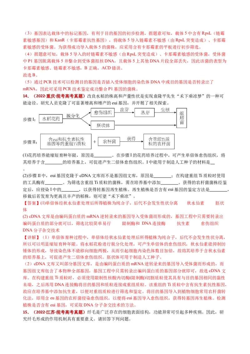 五年（2021-2025）全国高考生物真题分类汇编专题22基因工程（全国通用）（解析版）_高考真题分类汇编_高考生物真题分类汇编（全国通用）五年（2021-2025）