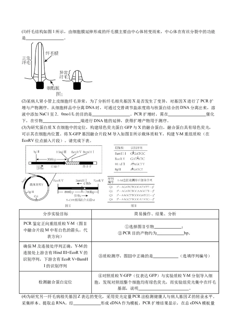 五年（2021-2025）全国高考生物真题分类汇编专题22基因工程（全国通用）（解析版）_高考真题分类汇编_高考生物真题分类汇编（全国通用）五年（2021-2025）