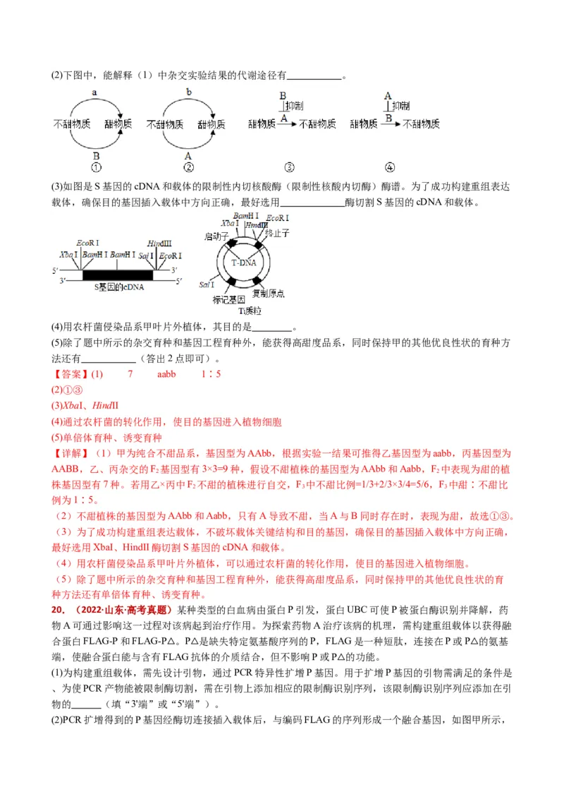 五年（2021-2025）全国高考生物真题分类汇编专题22基因工程（全国通用）（解析版）_高考真题分类汇编_高考生物真题分类汇编（全国通用）五年（2021-2025）