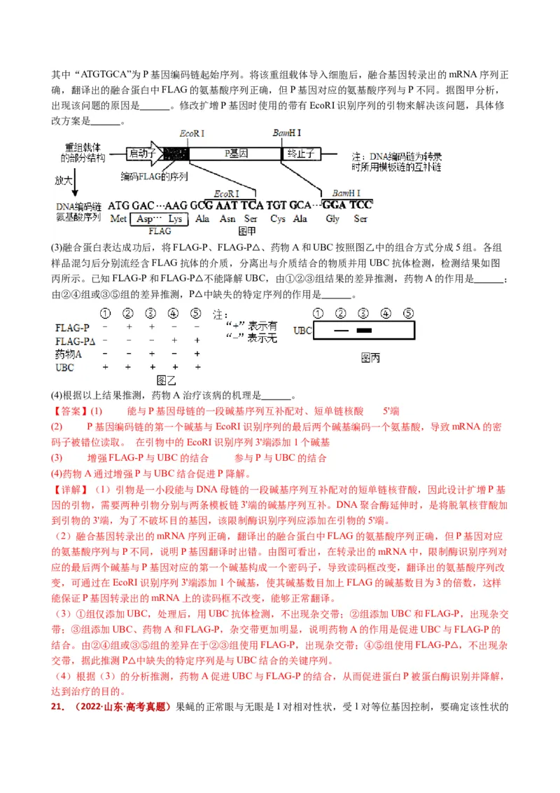 五年（2021-2025）全国高考生物真题分类汇编专题22基因工程（全国通用）（解析版）_高考真题分类汇编_高考生物真题分类汇编（全国通用）五年（2021-2025）