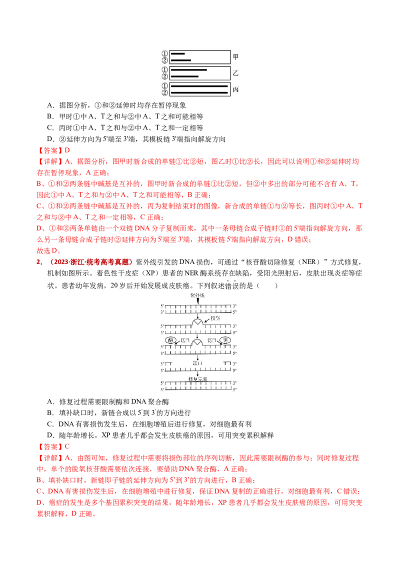五年（2021-2025）全国高考生物真题分类汇编专题08遗传的分子基础（全国通用）（解析版）_高考真题分类汇编_高考生物真题分类汇编（全国通用）五年（2021-2025）