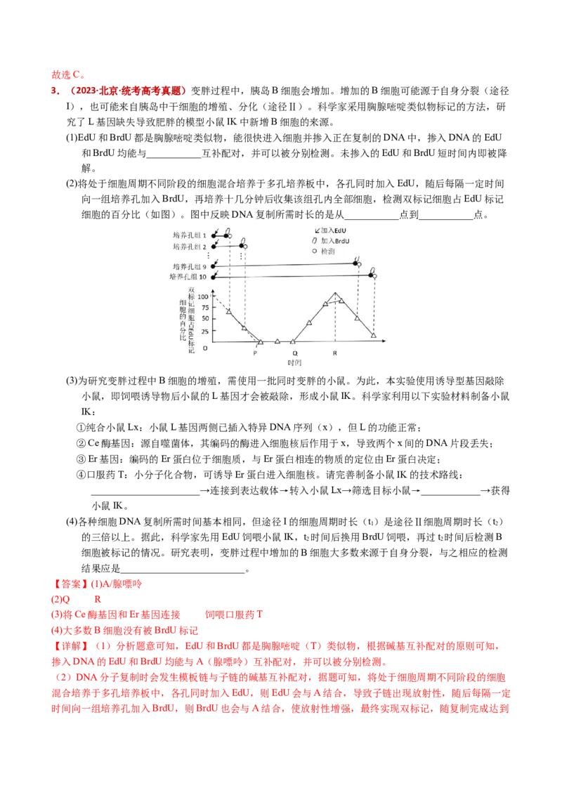 五年（2021-2025）全国高考生物真题分类汇编专题08遗传的分子基础（全国通用）（解析版）_高考真题分类汇编_高考生物真题分类汇编（全国通用）五年（2021-2025）
