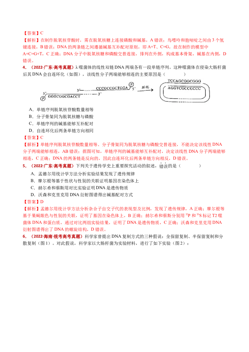 五年（2021-2025）全国高考生物真题分类汇编专题08遗传的分子基础（全国通用）（解析版）_高考真题分类汇编_高考生物真题分类汇编（全国通用）五年（2021-2025）