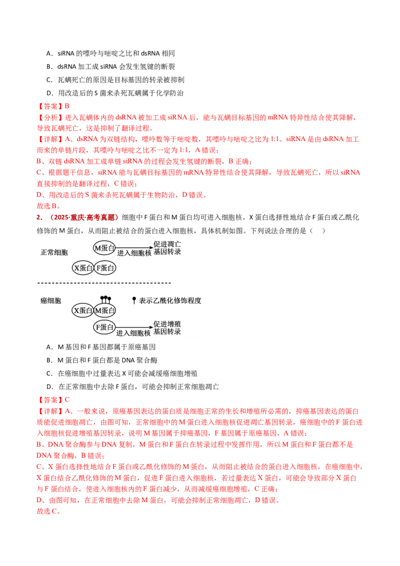 五年（2021-2025）全国高考生物真题分类汇编专题08遗传的分子基础（全国通用）（解析版）_高考真题分类汇编_高考生物真题分类汇编（全国通用）五年（2021-2025）