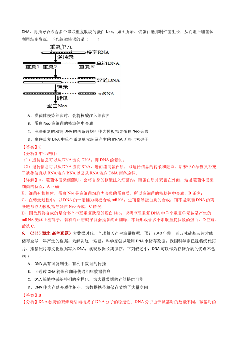 五年（2021-2025）全国高考生物真题分类汇编专题08遗传的分子基础（全国通用）（解析版）_高考真题分类汇编_高考生物真题分类汇编（全国通用）五年（2021-2025）
