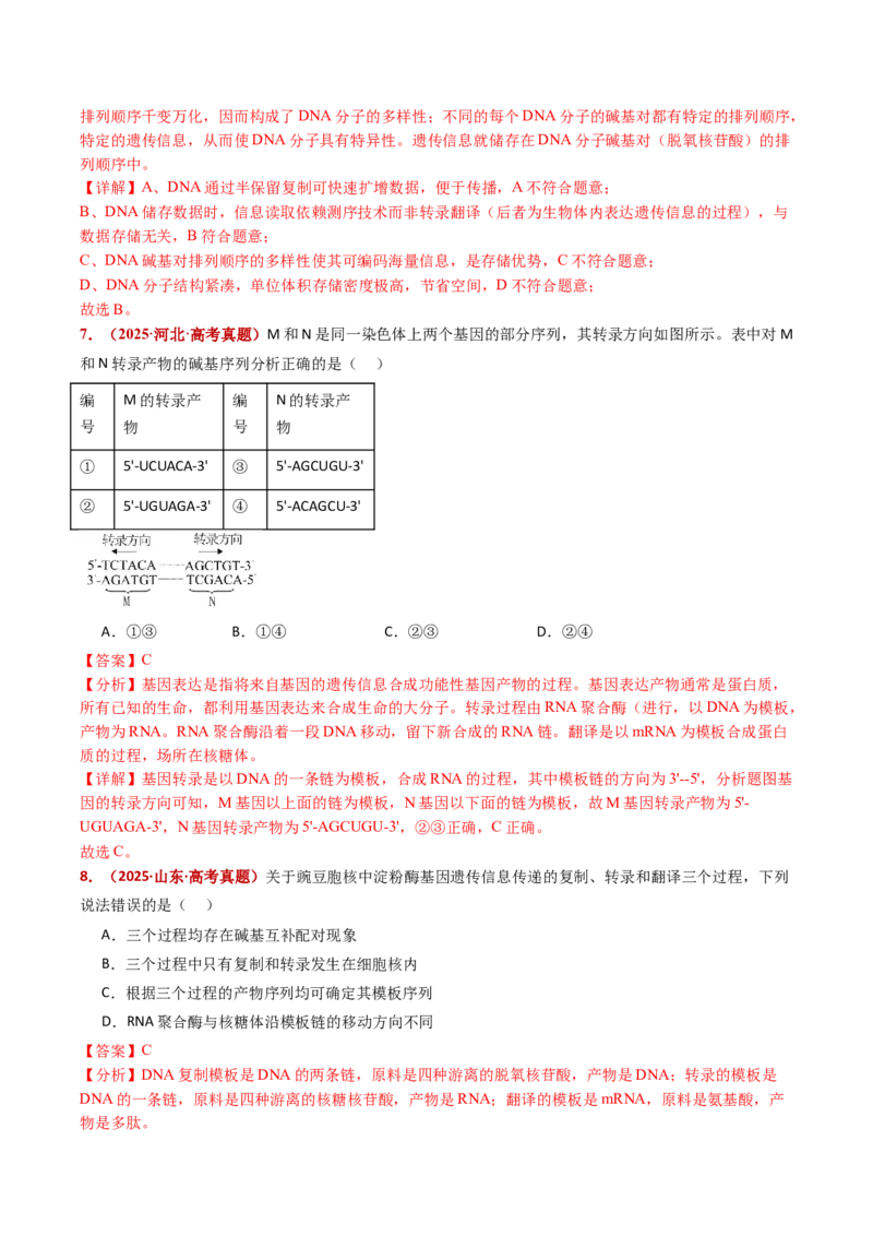 五年（2021-2025）全国高考生物真题分类汇编专题08遗传的分子基础（全国通用）（解析版）_高考真题分类汇编_高考生物真题分类汇编（全国通用）五年（2021-2025）
