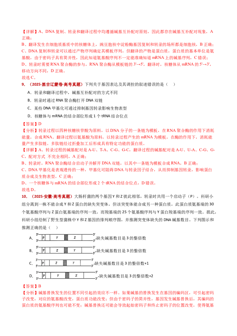 五年（2021-2025）全国高考生物真题分类汇编专题08遗传的分子基础（全国通用）（解析版）_高考真题分类汇编_高考生物真题分类汇编（全国通用）五年（2021-2025）