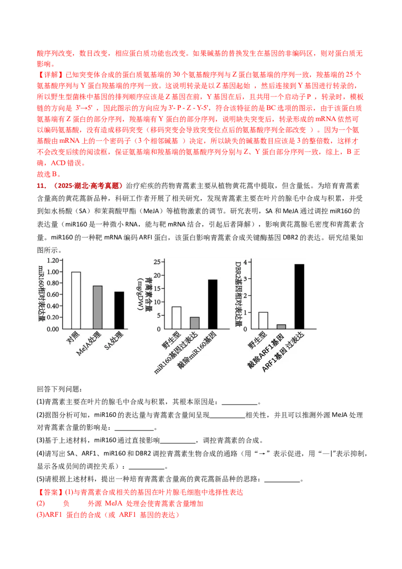 五年（2021-2025）全国高考生物真题分类汇编专题08遗传的分子基础（全国通用）（解析版）_高考真题分类汇编_高考生物真题分类汇编（全国通用）五年（2021-2025）