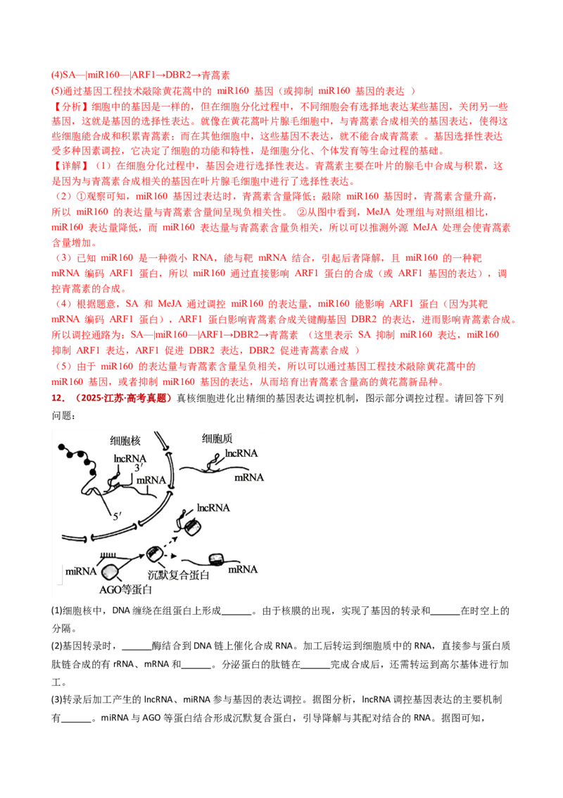 五年（2021-2025）全国高考生物真题分类汇编专题08遗传的分子基础（全国通用）（解析版）_高考真题分类汇编_高考生物真题分类汇编（全国通用）五年（2021-2025）