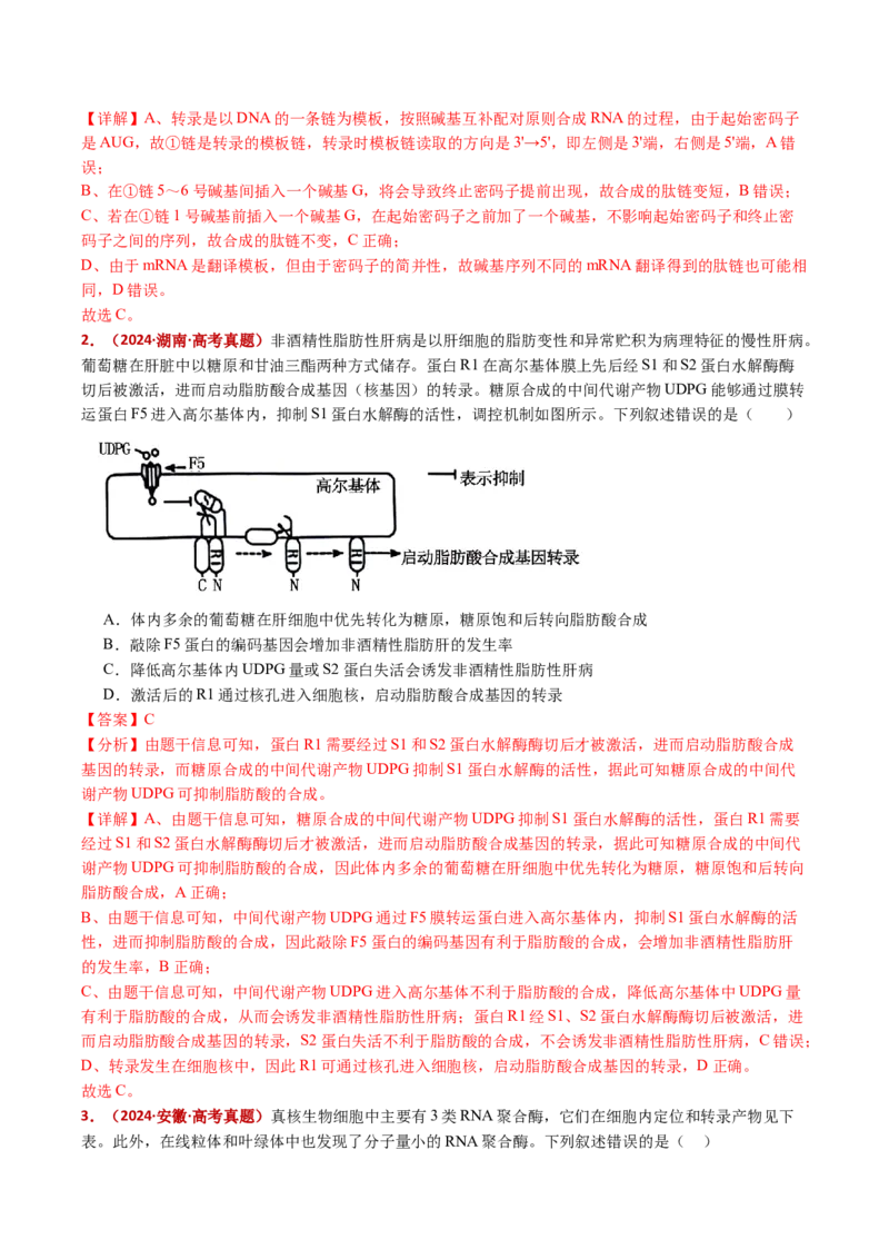 五年（2021-2025）全国高考生物真题分类汇编专题08遗传的分子基础（全国通用）（解析版）_高考真题分类汇编_高考生物真题分类汇编（全国通用）五年（2021-2025）