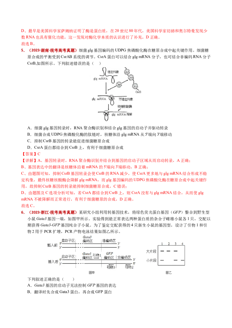 五年（2021-2025）全国高考生物真题分类汇编专题08遗传的分子基础（全国通用）（解析版）_高考真题分类汇编_高考生物真题分类汇编（全国通用）五年（2021-2025）