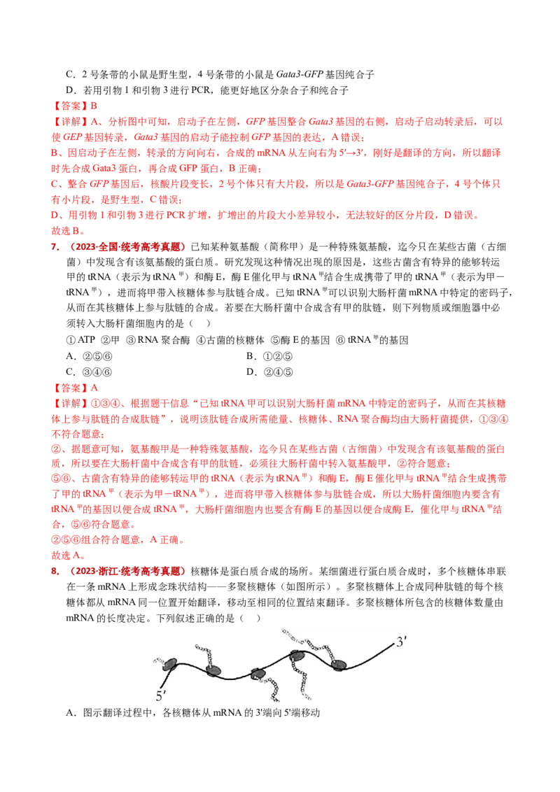 五年（2021-2025）全国高考生物真题分类汇编专题08遗传的分子基础（全国通用）（解析版）_高考真题分类汇编_高考生物真题分类汇编（全国通用）五年（2021-2025）