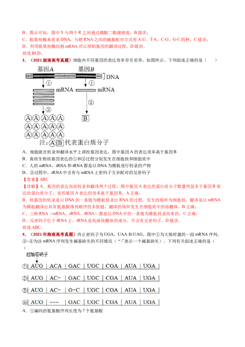 五年（2021-2025）全国高考生物真题分类汇编专题08遗传的分子基础（全国通用）（解析版）_高考真题分类汇编_高考生物真题分类汇编（全国通用）五年（2021-2025）