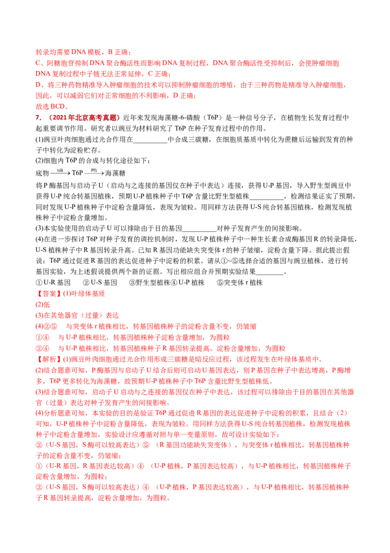 五年（2021-2025）全国高考生物真题分类汇编专题08遗传的分子基础（全国通用）（解析版）_高考真题分类汇编_高考生物真题分类汇编（全国通用）五年（2021-2025）