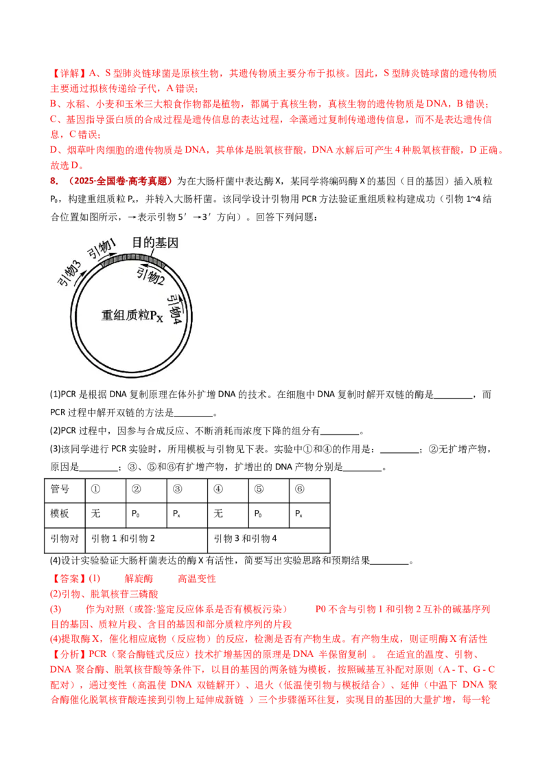 五年（2021-2025）全国高考生物真题分类汇编专题08遗传的分子基础（全国通用）（解析版）_高考真题分类汇编_高考生物真题分类汇编（全国通用）五年（2021-2025）