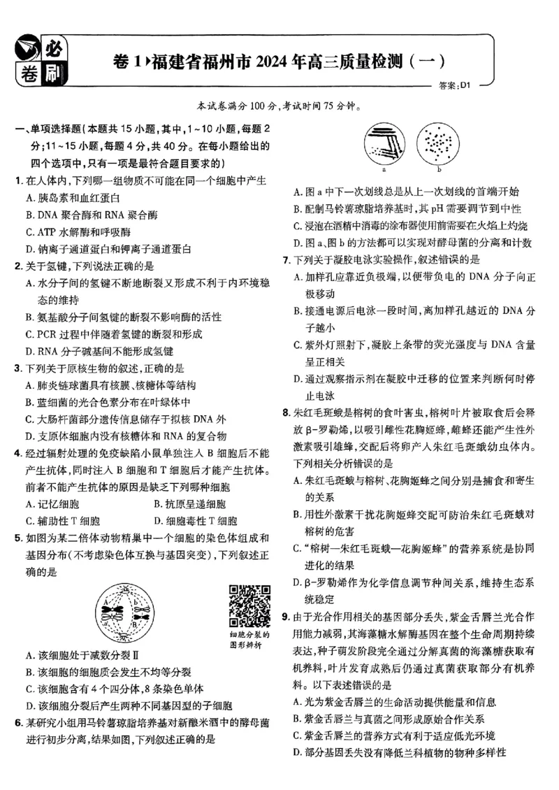 2025高考必刷卷42套生物新高考版_《2025高考必刷卷》_生物