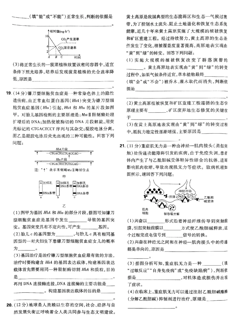 2025高考必刷卷42套生物新高考版_《2025高考必刷卷》_生物