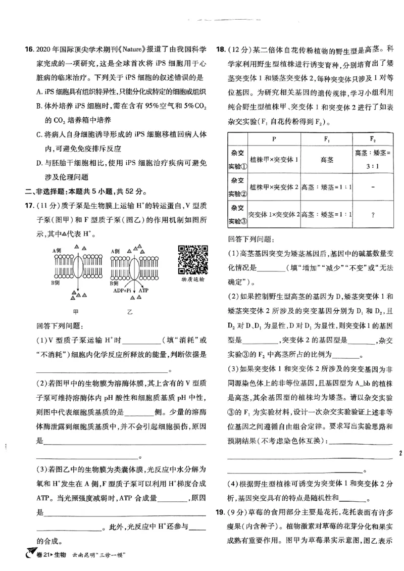 2025高考必刷卷42套生物新高考版_《2025高考必刷卷》_生物