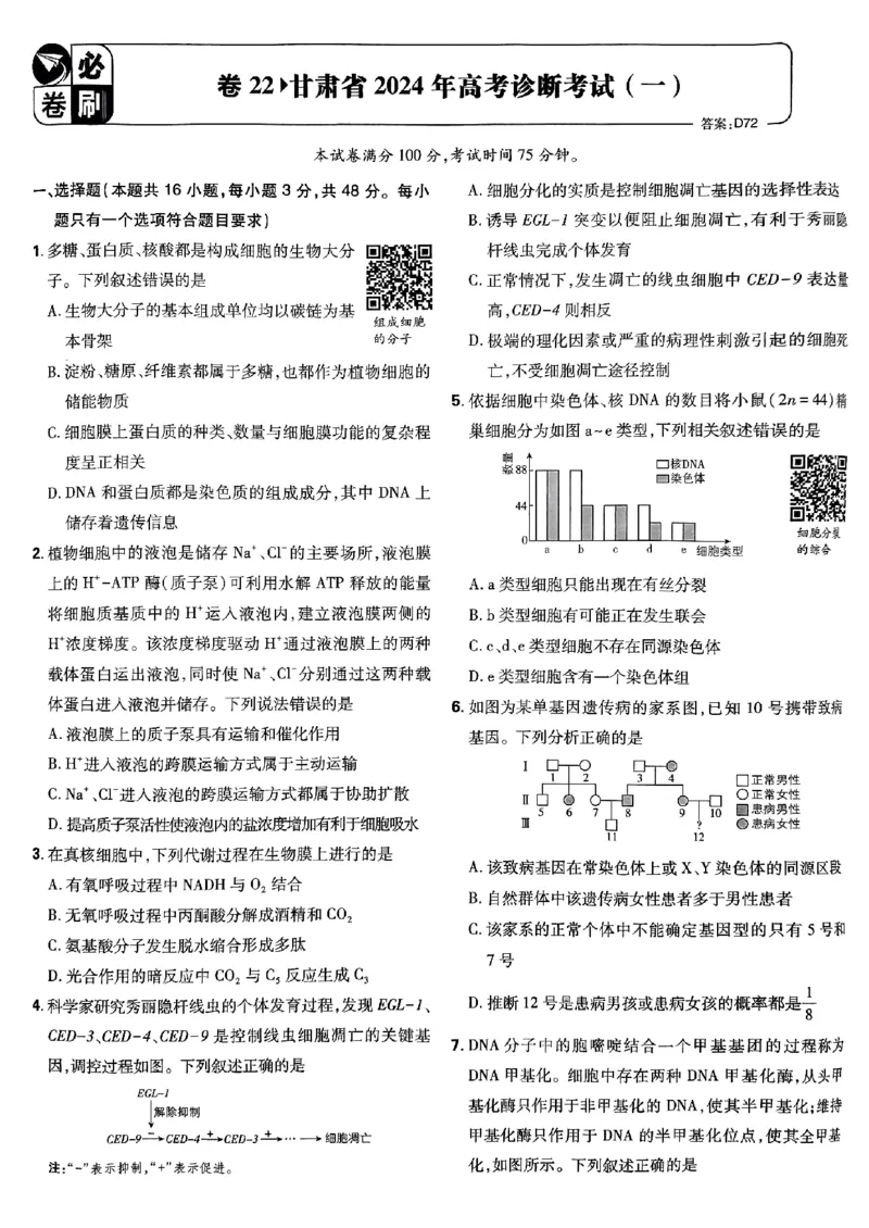 2025高考必刷卷42套生物新高考版_《2025高考必刷卷》_生物