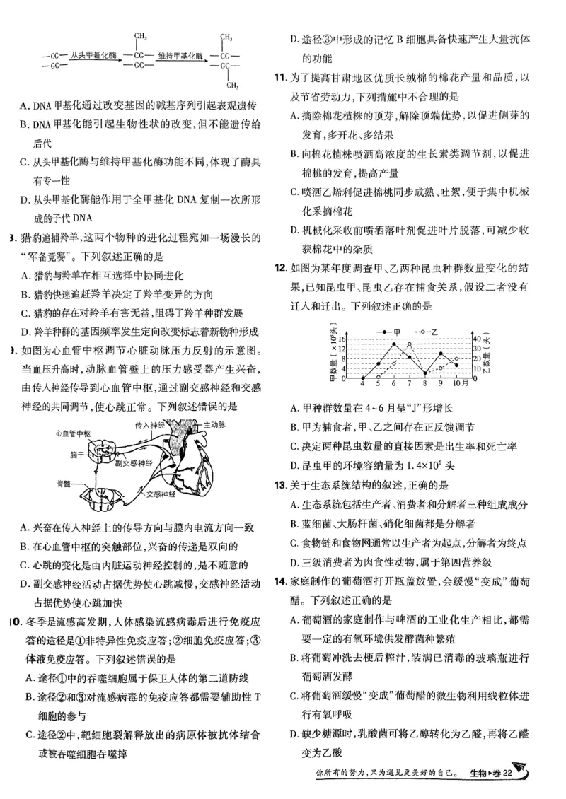 2025高考必刷卷42套生物新高考版_《2025高考必刷卷》_生物