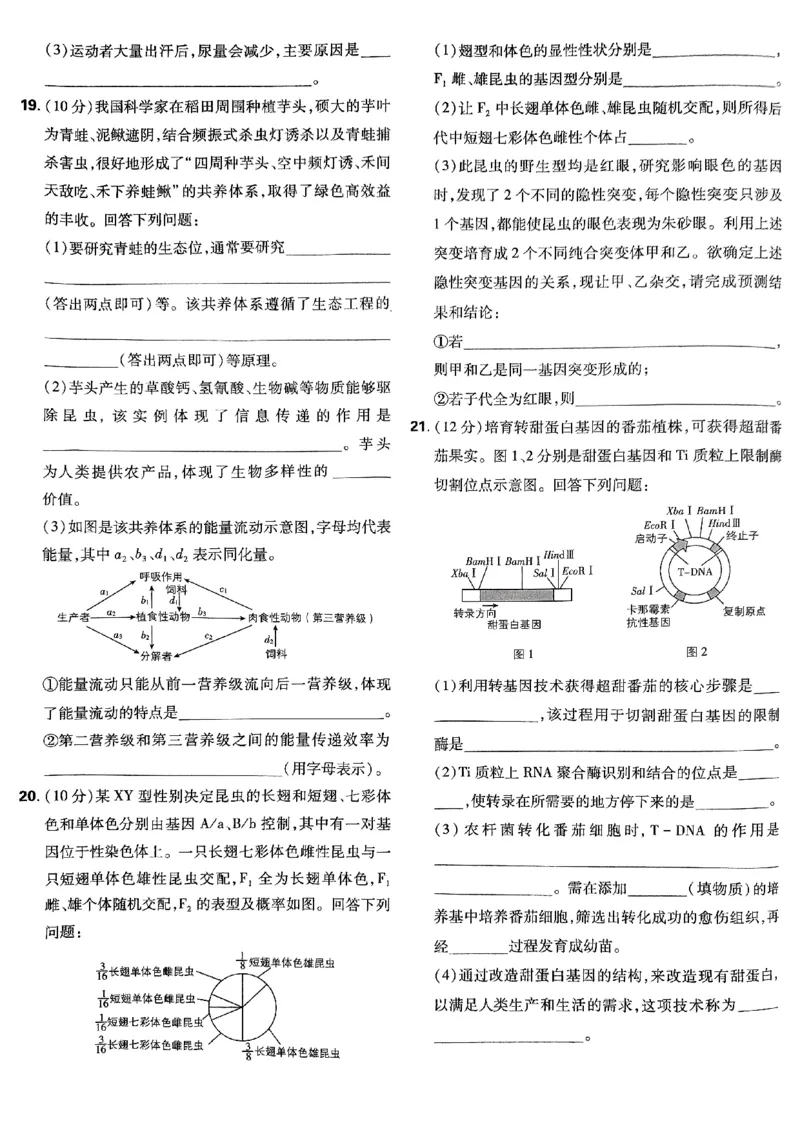 2025高考必刷卷42套生物新高考版_《2025高考必刷卷》_生物