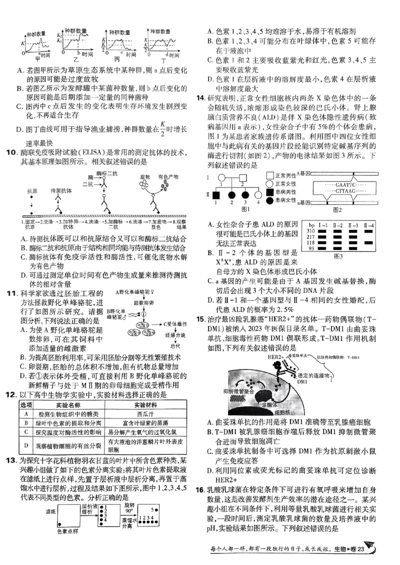 2025高考必刷卷42套生物新高考版_《2025高考必刷卷》_生物